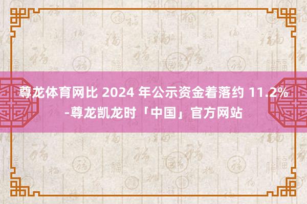 尊龙体育网比 2024 年公示资金着落约 11.2%-尊龙凯龙时「中国」官方网站