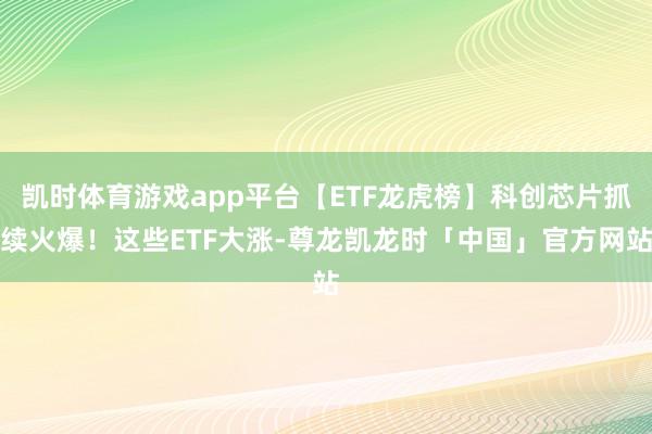 凯时体育游戏app平台【ETF龙虎榜】科创芯片抓续火爆！这些ETF大涨-尊龙凯龙时「中国」官方网站