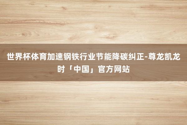 世界杯体育加速钢铁行业节能降碳纠正-尊龙凯龙时「中国」官方网站