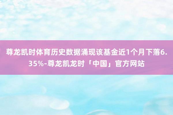 尊龙凯时体育历史数据涌现该基金近1个月下落6.35%-尊龙凯龙时「中国」官方网站