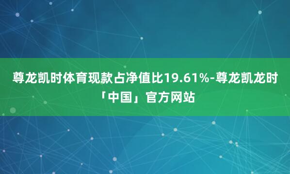 尊龙凯时体育现款占净值比19.61%-尊龙凯龙时「中国」官方网站