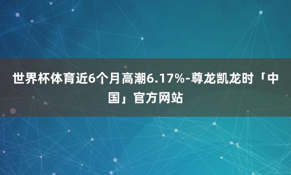 世界杯体育近6个月高潮6.17%-尊龙凯龙时「中国」官方网站