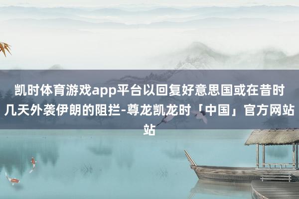 凯时体育游戏app平台以回复好意思国或在昔时几天外袭伊朗的阻拦-尊龙凯龙时「中国」官方网站