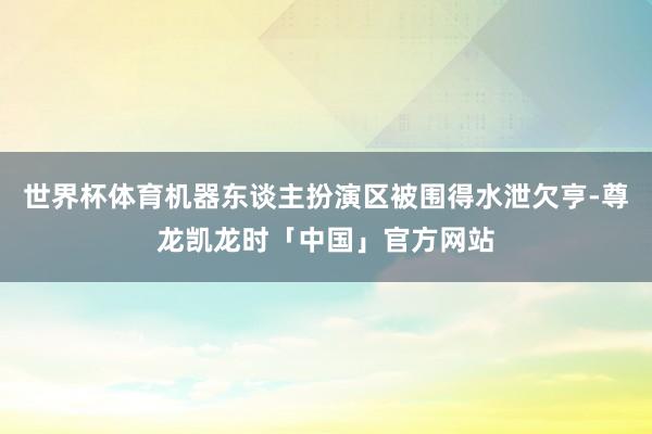 世界杯体育机器东谈主扮演区被围得水泄欠亨-尊龙凯龙时「中国」官方网站