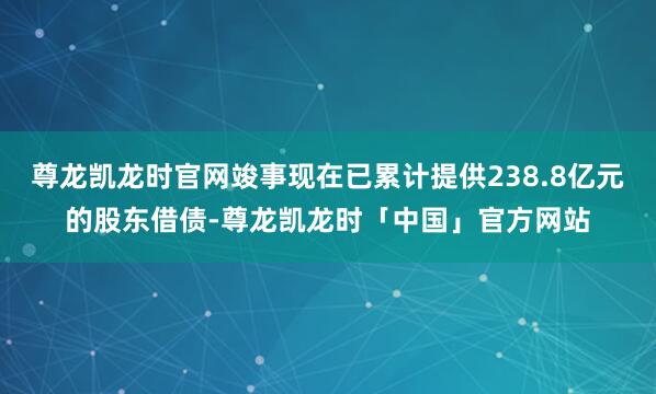 尊龙凯龙时官网竣事现在已累计提供238.8亿元的股东借债-尊龙凯龙时「中国」官方网站