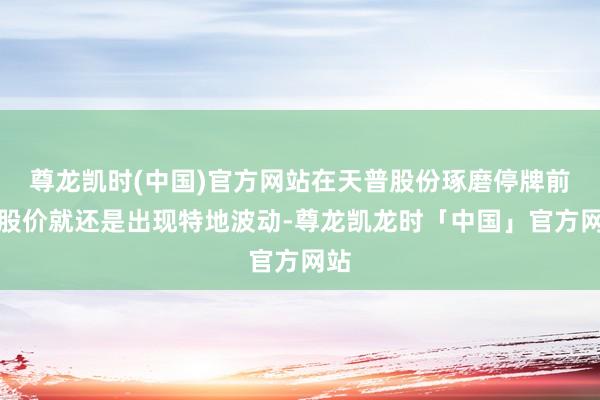 尊龙凯时(中国)官方网站在天普股份琢磨停牌前的股价就还是出现特地波动-尊龙凯龙时「中国」官方网站