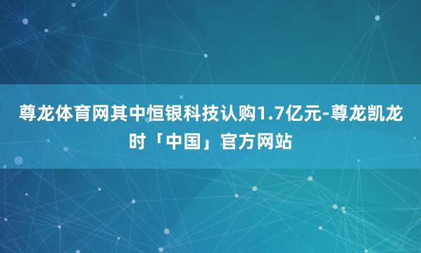 尊龙体育网其中恒银科技认购1.7亿元-尊龙凯龙时「中国」官方网站