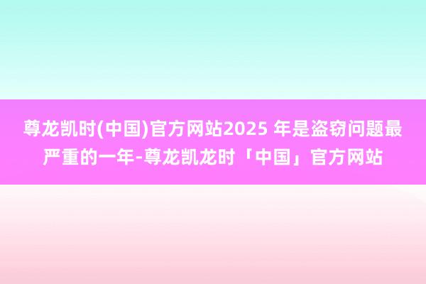 尊龙凯时(中国)官方网站2025 年是盗窃问题最严重的一年-尊龙凯龙时「中国」官方网站