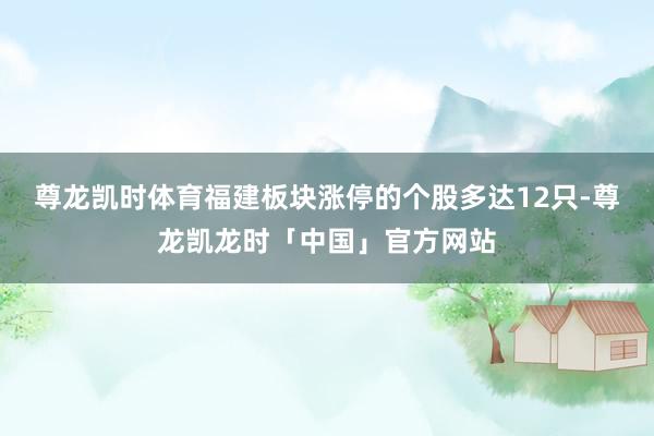 尊龙凯时体育福建板块涨停的个股多达12只-尊龙凯龙时「中国」官方网站