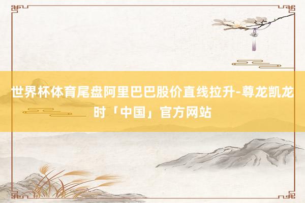 世界杯体育尾盘阿里巴巴股价直线拉升-尊龙凯龙时「中国」官方网站
