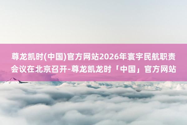 尊龙凯时(中国)官方网站2026年寰宇民航职责会议在北京召开-尊龙凯龙时「中国」官方网站